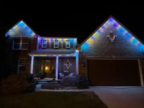 Blue Bolt Electric