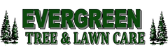 Evergreen Tree and lawn care