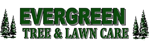 Evergreen Tree and lawn care
